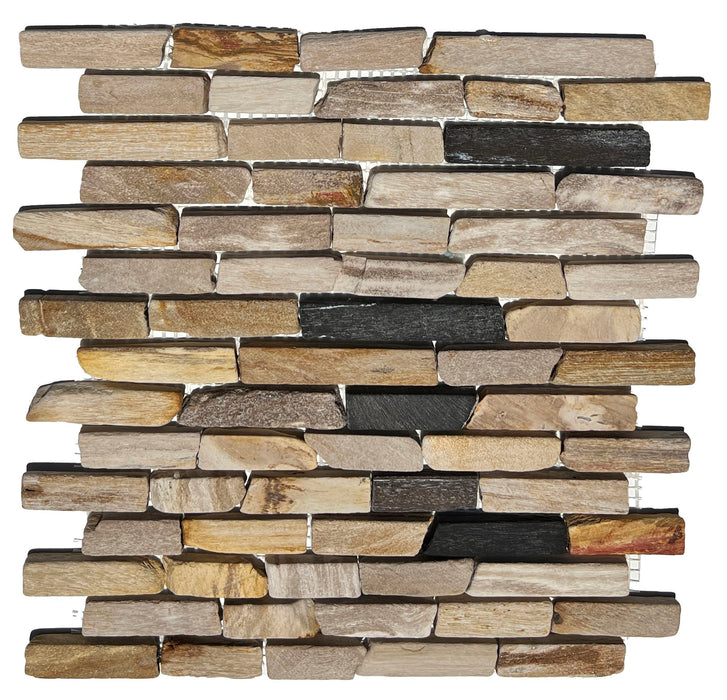 Petrified Forest Mosaic