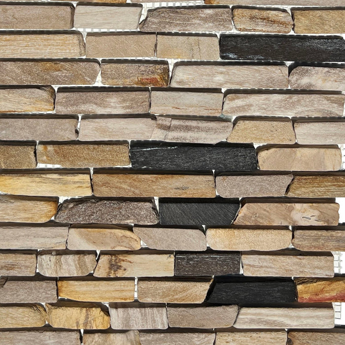 Petrified Forest Mosaic