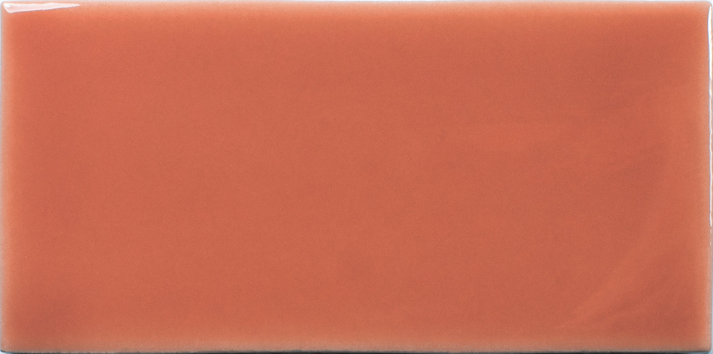 Fayenza Belt