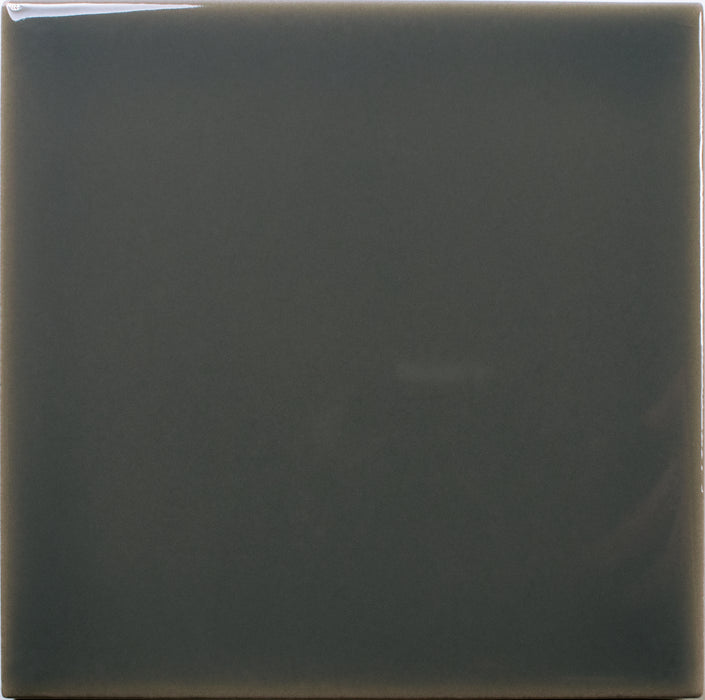 Fayenza Belt