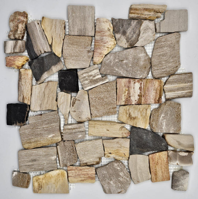 Petrified Forest Mosaic