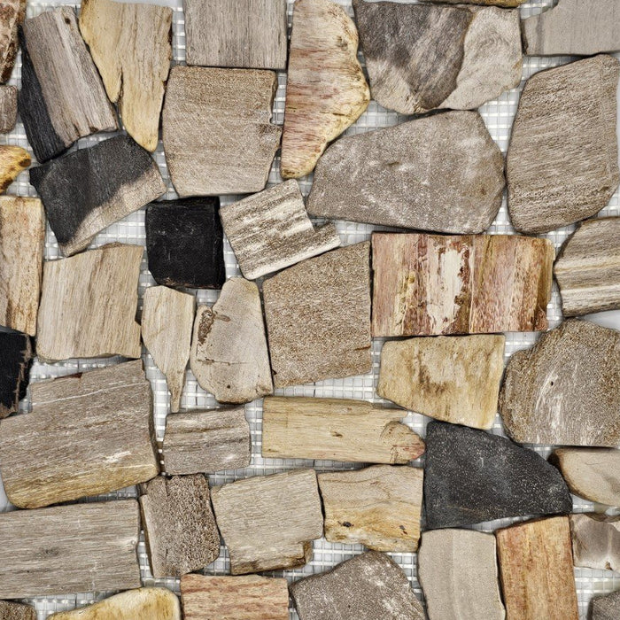 Petrified Forest Mosaic
