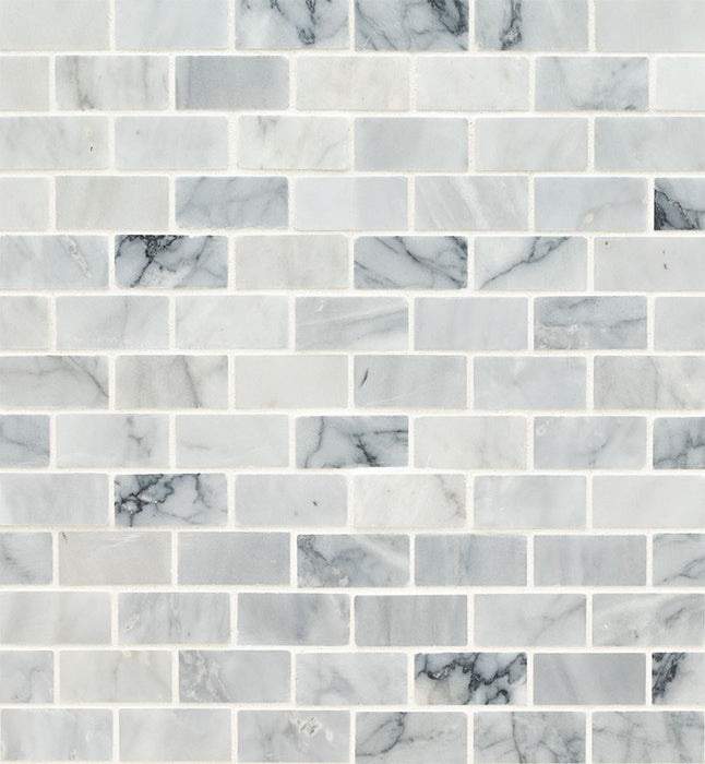 Carrara Classique Mosaics