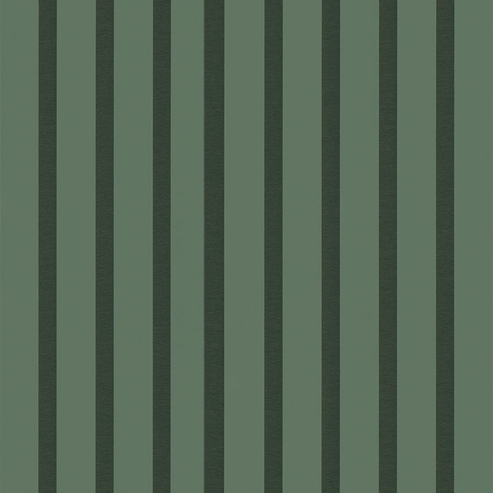 Acoustic Shapes