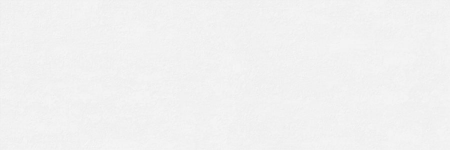 Absolute White