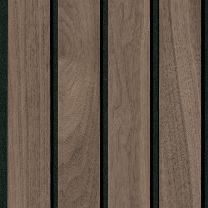 Acoustic Shapes